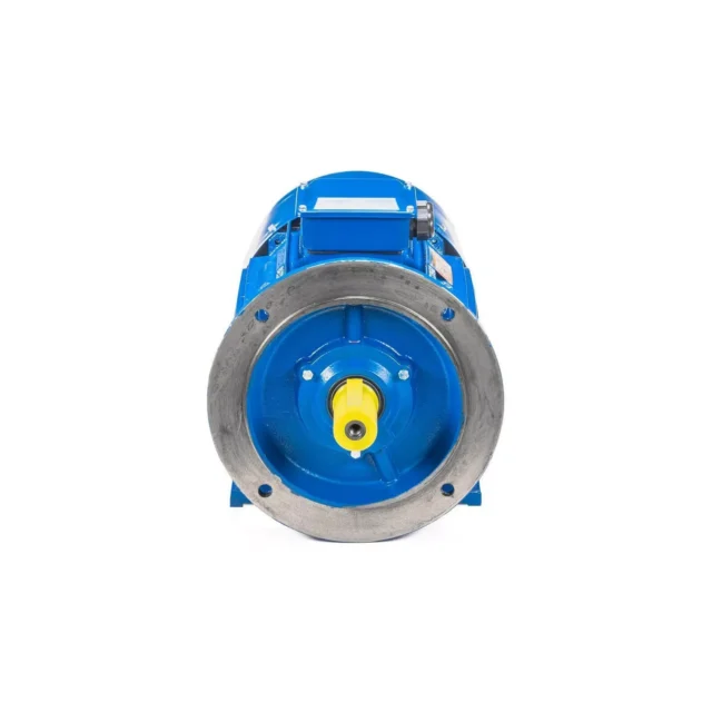 Электродвигатель 5АИ 200 М4 37/1500 IM2001 — изображение 3