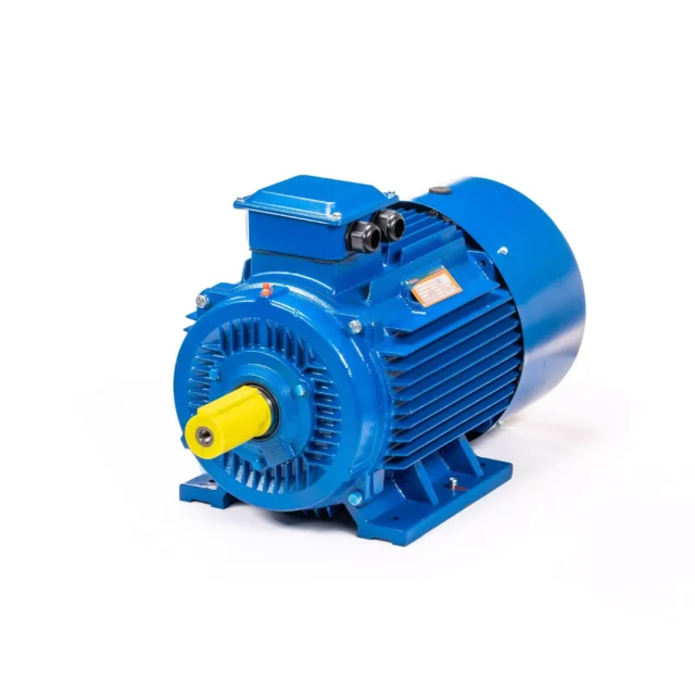 Электродвигатель 5АИ 200 L4 45/1500 IM1001 — изображение 12