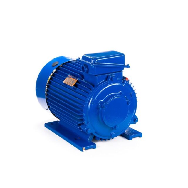 Электродвигатель 5MTКH 200 LB8 22/750 IM1003 — изображение 8
