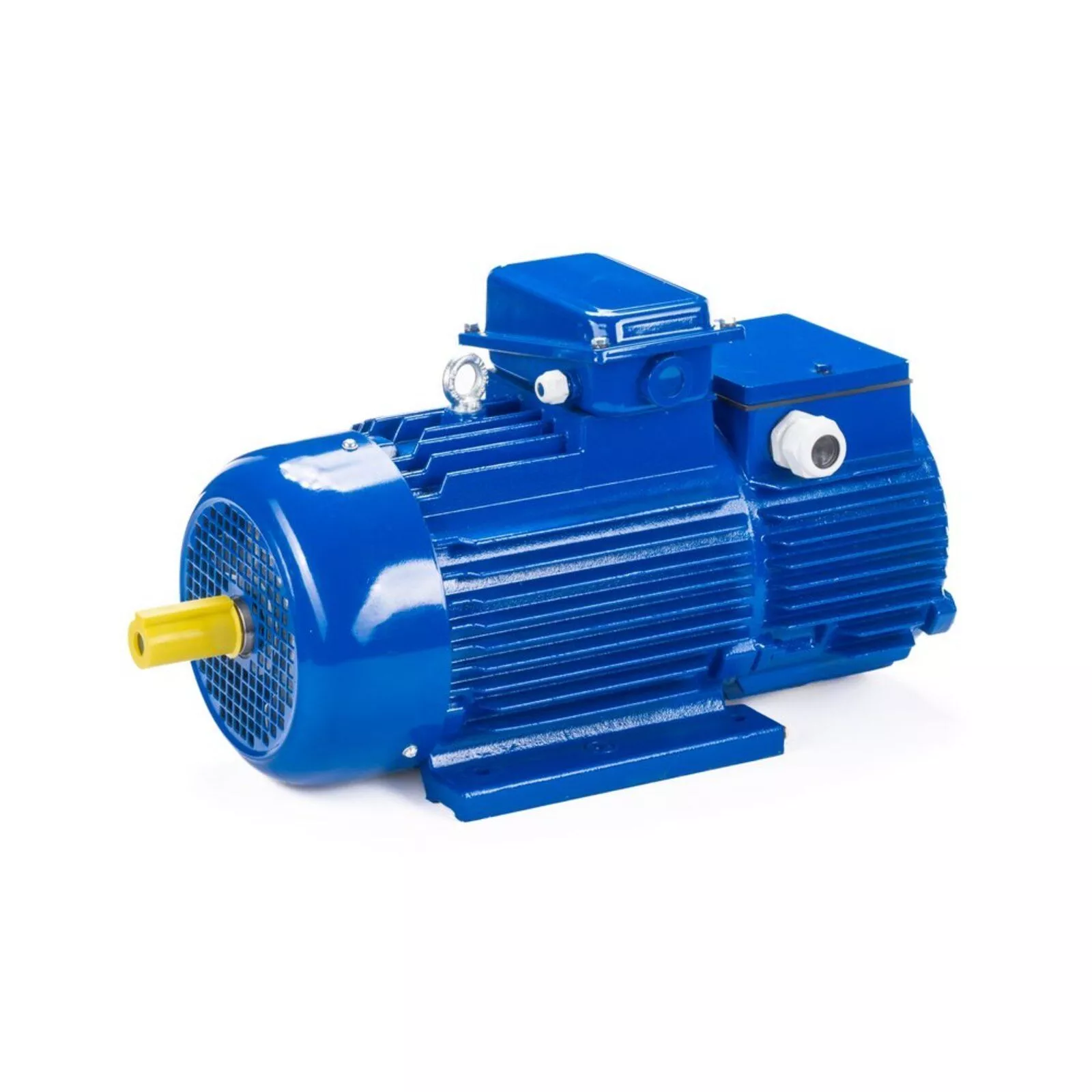 Электродвигатель 5МТН 225 L8 37/750 IM1004 — изображение 11