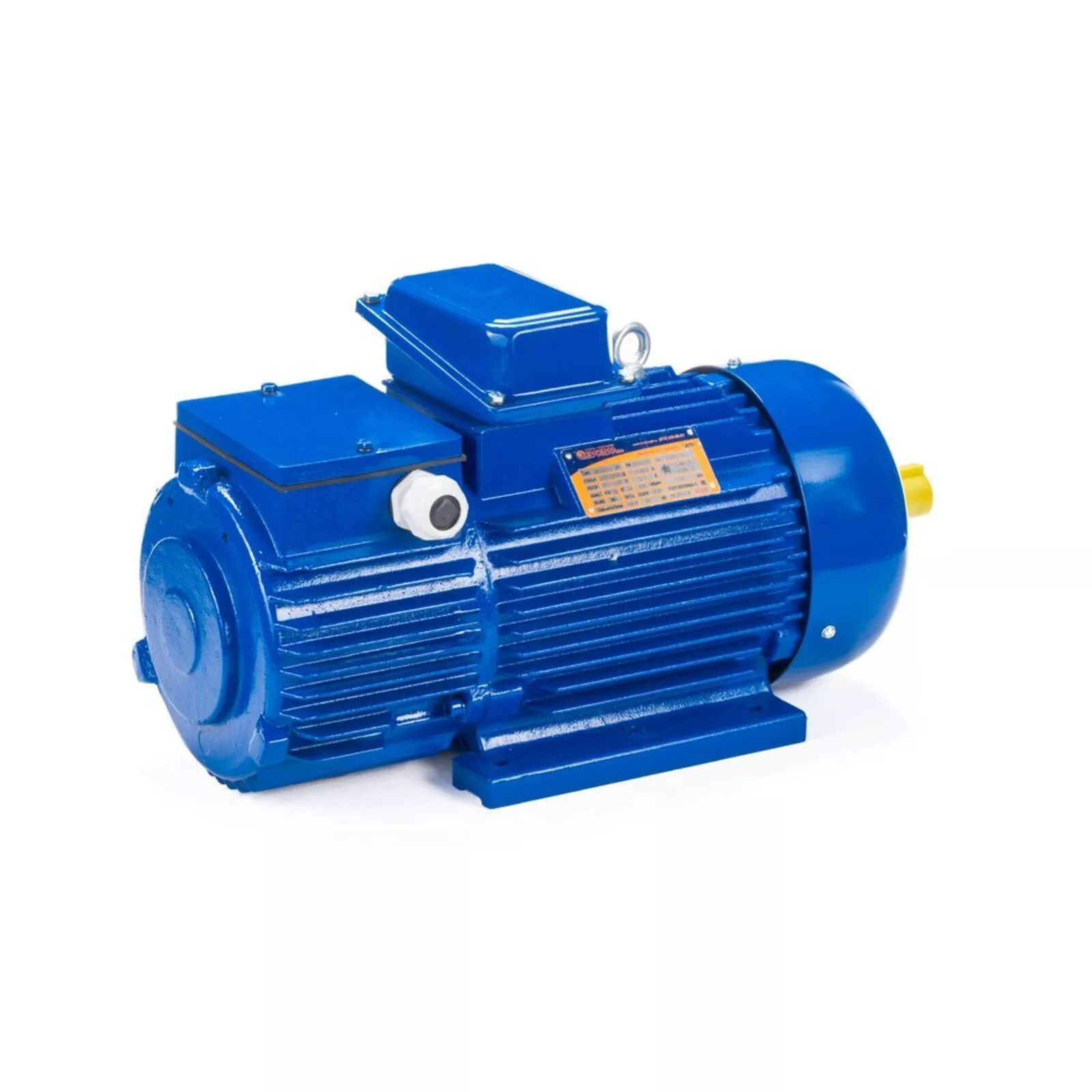 Электродвигатель 5МТН 225 L8 37/750 IM1004 — изображение 5