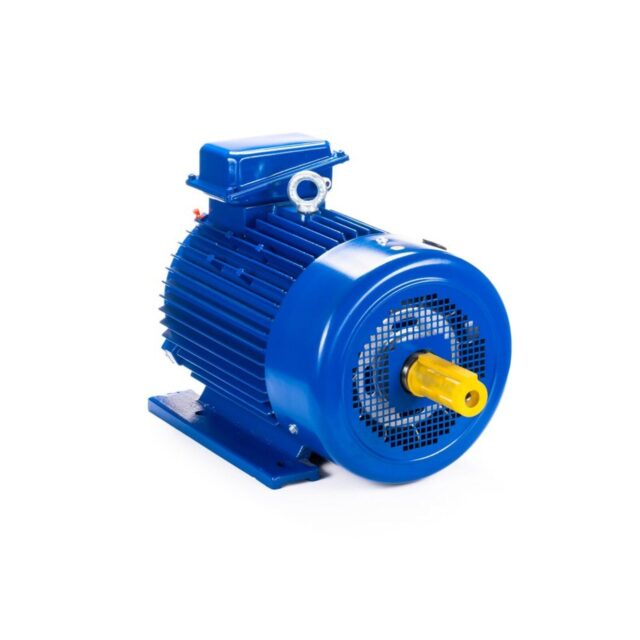 Электродвигатель 5MTКH 200 LB8 22/750 IM1003 — изображение 2
