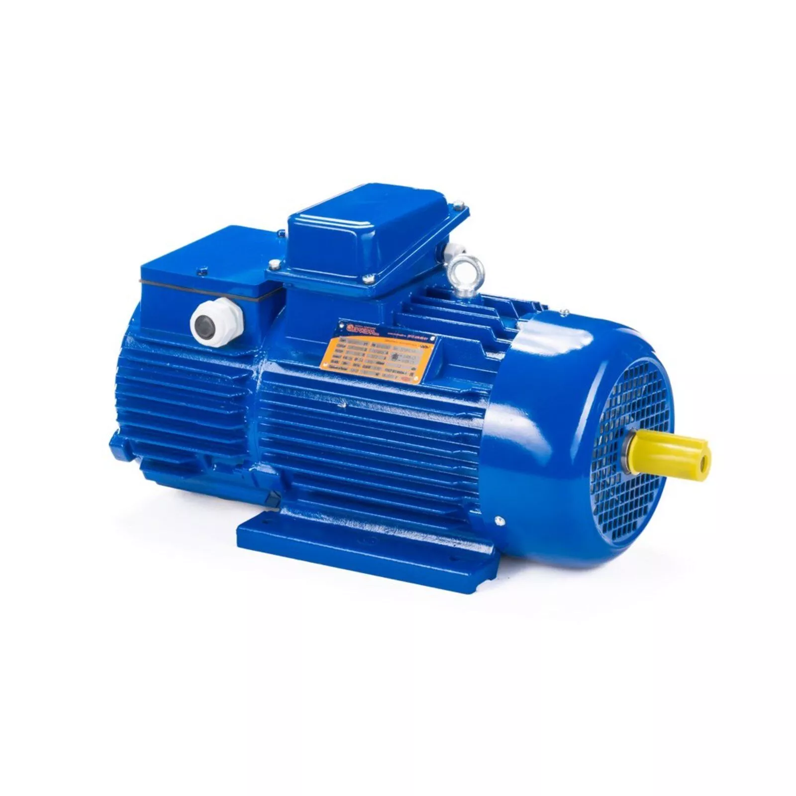 Электродвигатель 5МТН 225 L8 37/750 IM1004