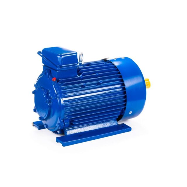 Электродвигатель 5MTКH 200 LB8 22/750 IM1003 — изображение 5