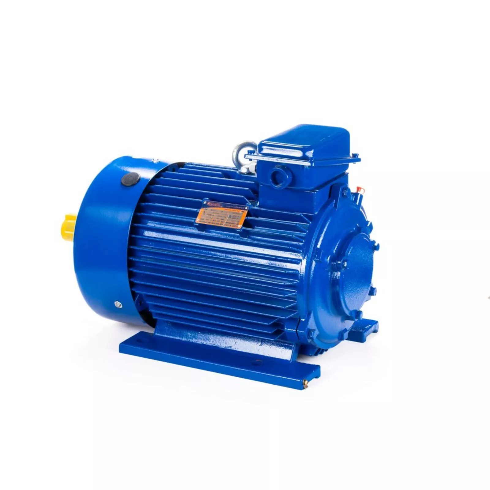 Электродвигатель 5МТКН 225 L8 37/750 IM1003 — изображение 9