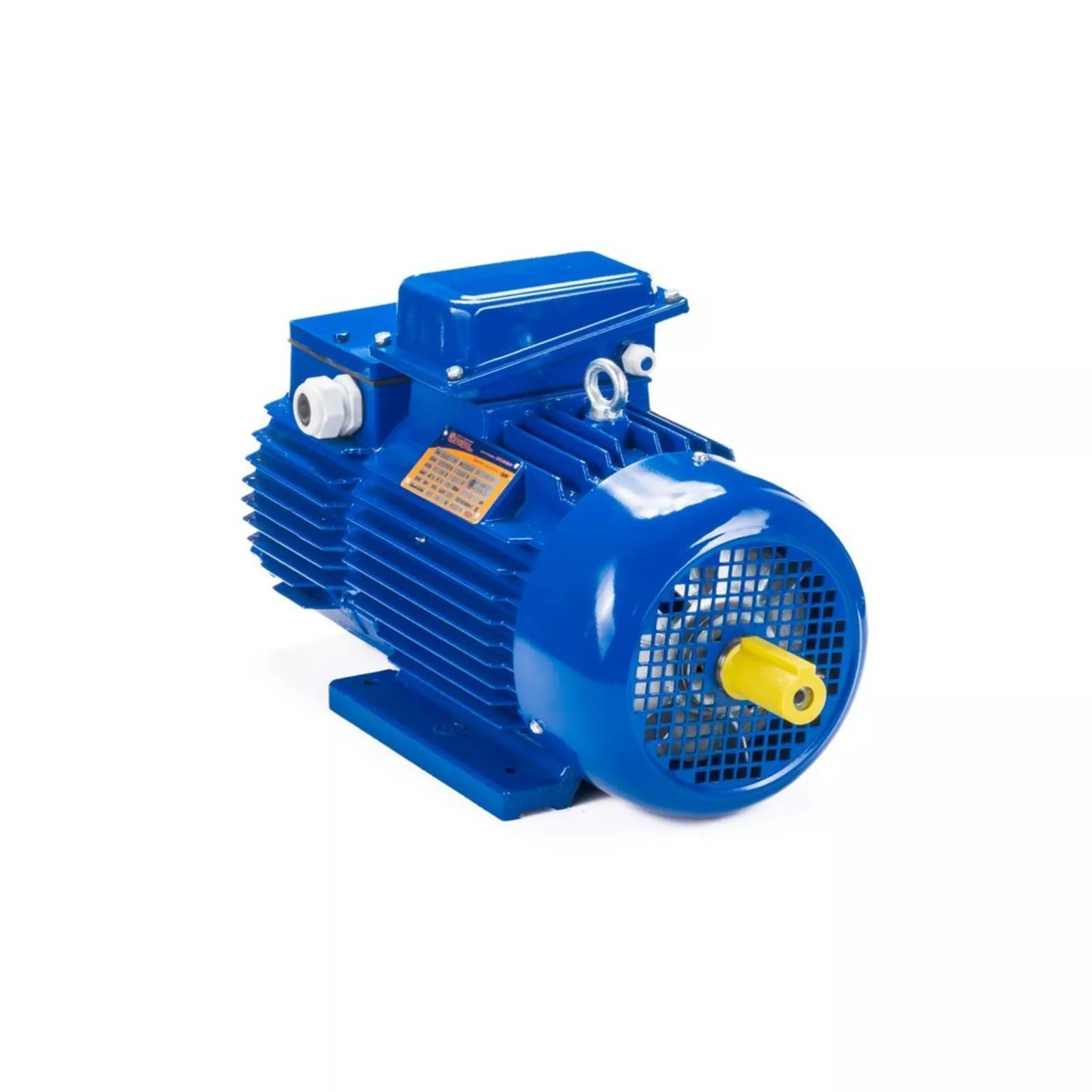 Электродвигатель 5МТН 225 L8 37/750 IM1004 — изображение 2