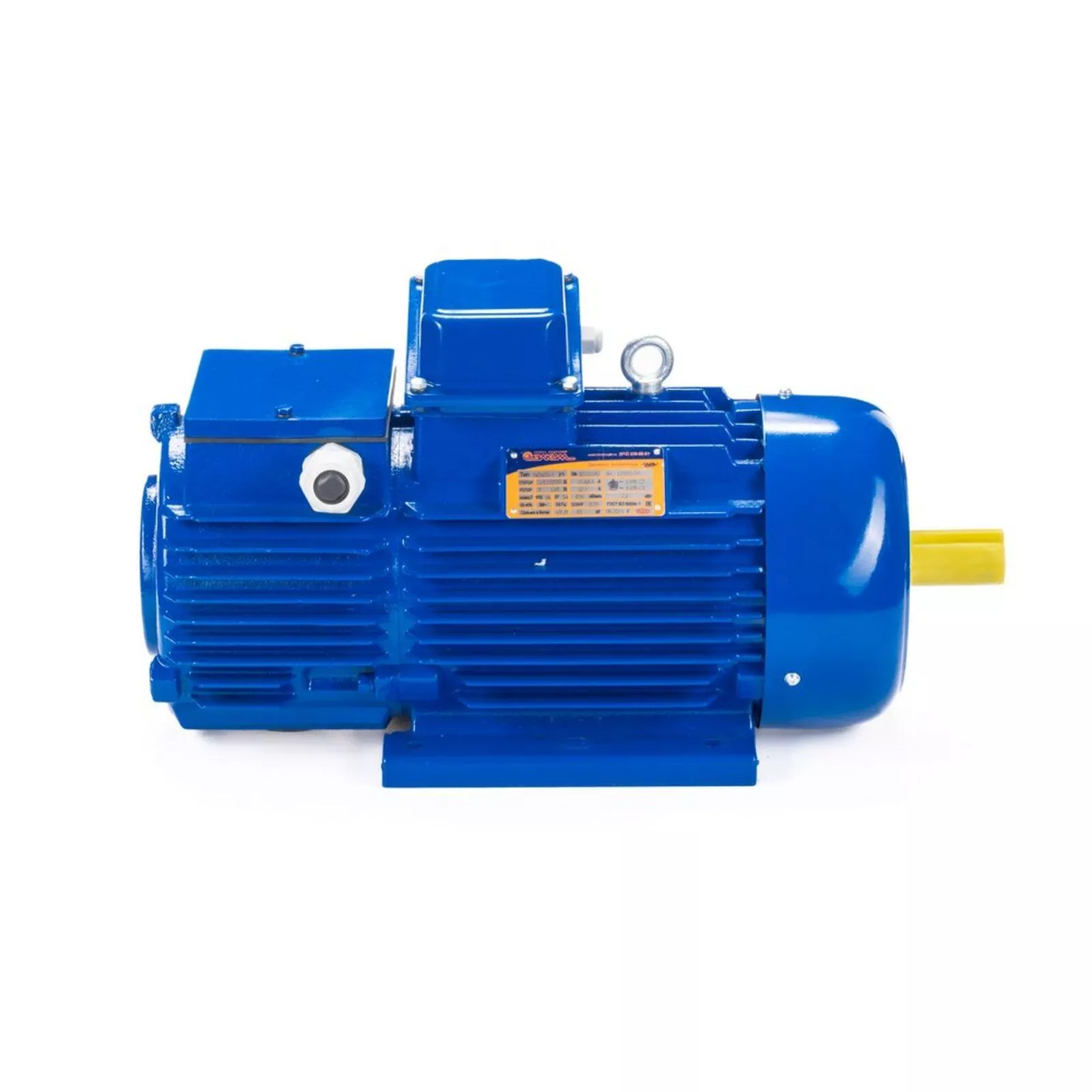 Электродвигатель 5MTH 200 LB6 30/1000 IM1003 — изображение 4