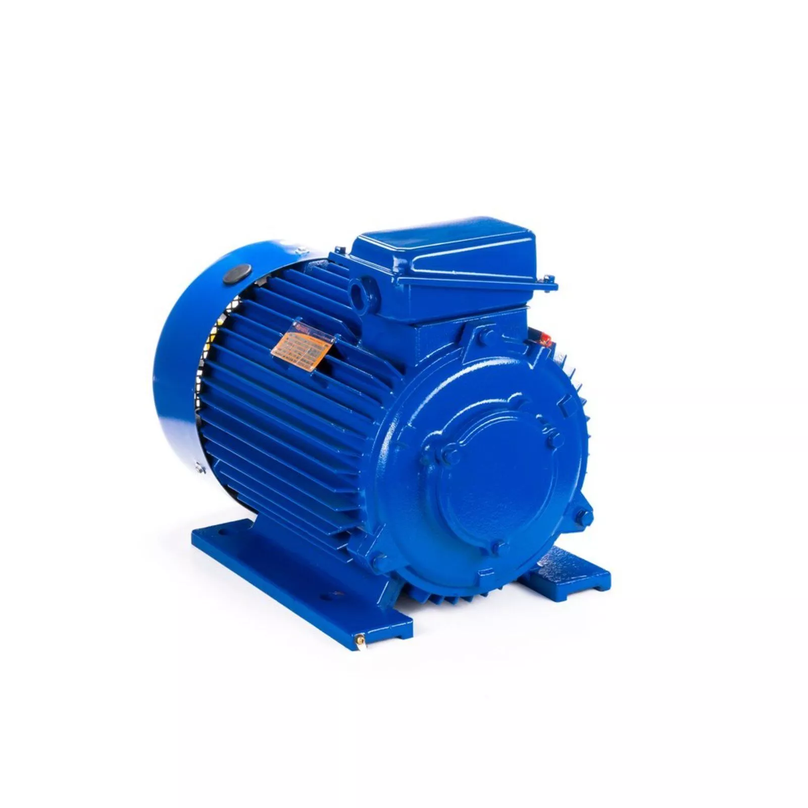 Электродвигатель 5МТКН 225 L8 37/750 IM1003 — изображение 8